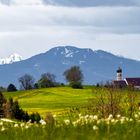 Bergsicht im Ostallgäu