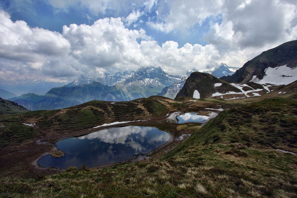 Bergsicht vom Hinter Hochli oberhalb Gitschenen Uri / Schweiz