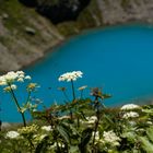 Bergsommer am Nidersee