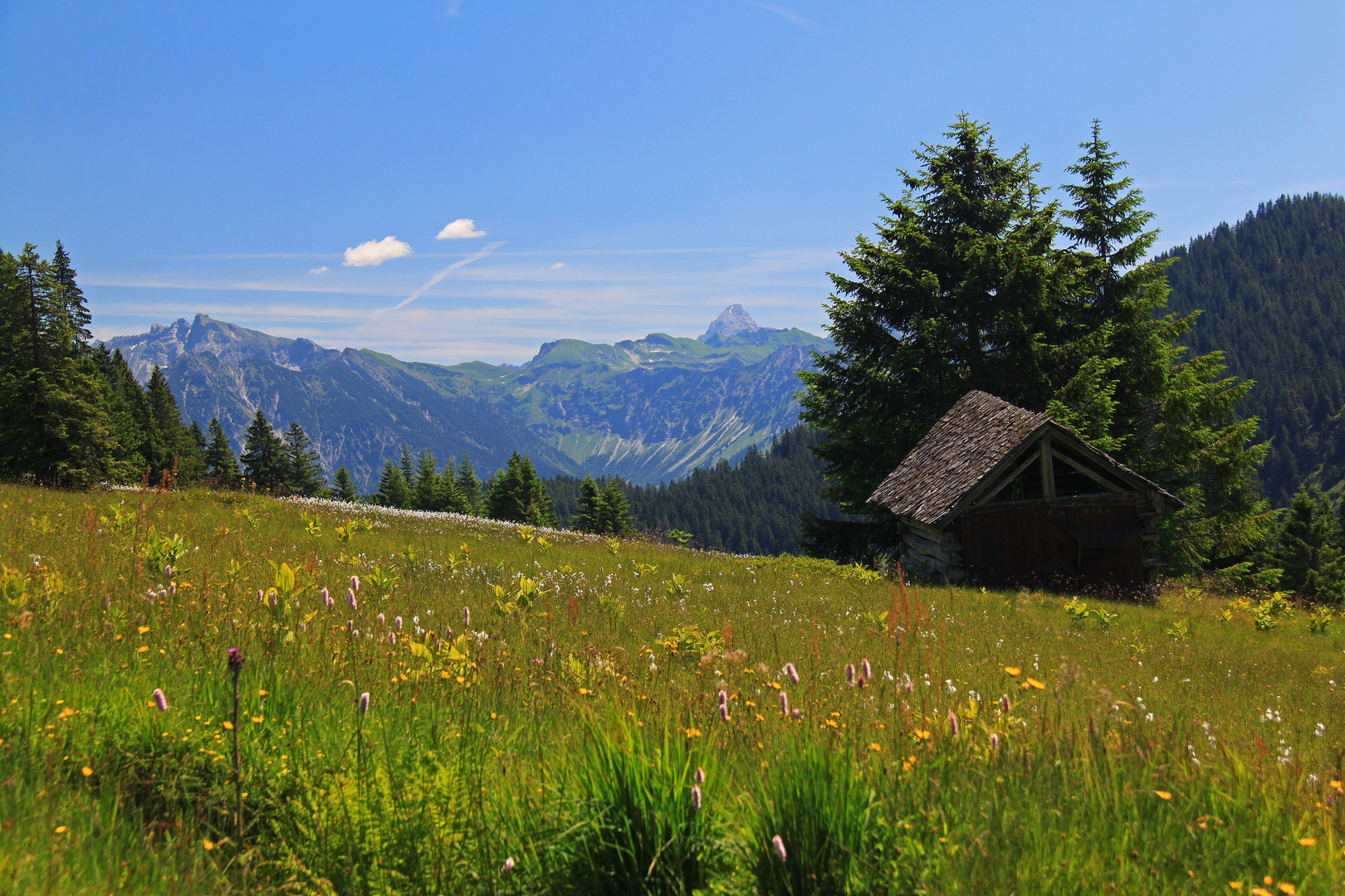 Bergsommer im Allgäu