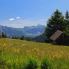 Bergsommer im Allgäu