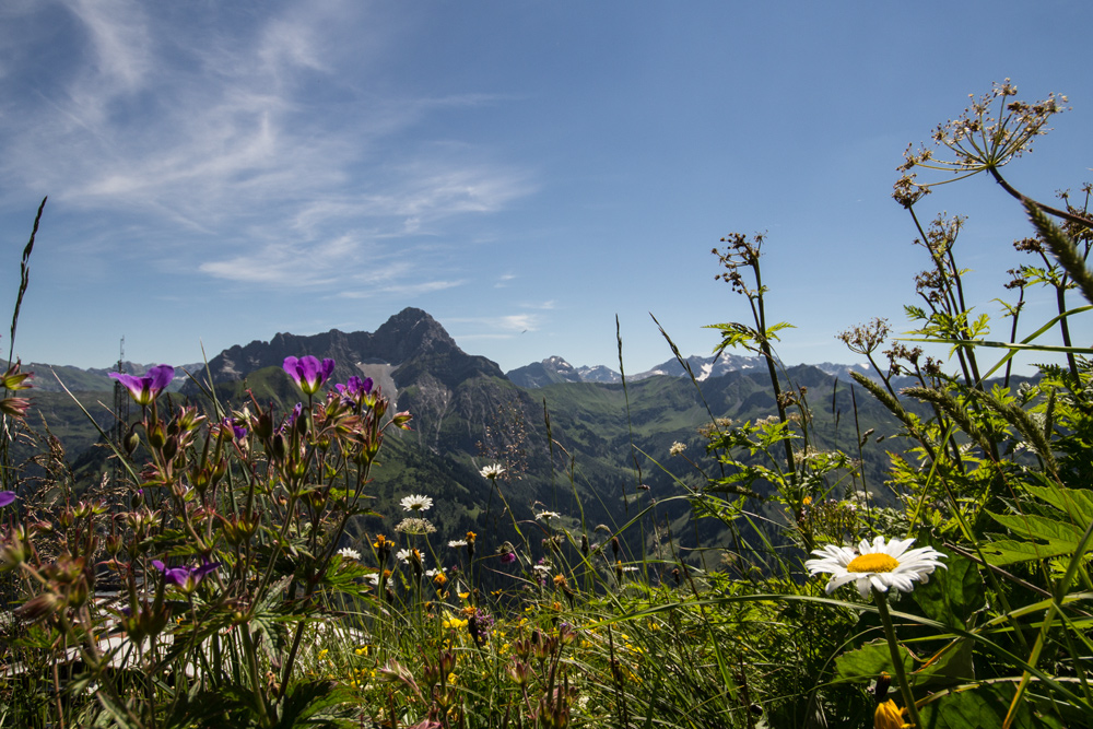 Bergsommer im Kleinwalsertal