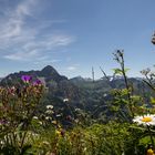 Bergsommer im Kleinwalsertal