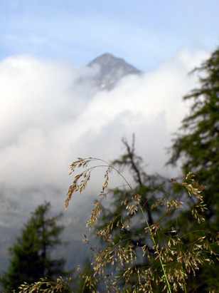 Bergspitze im Dunst