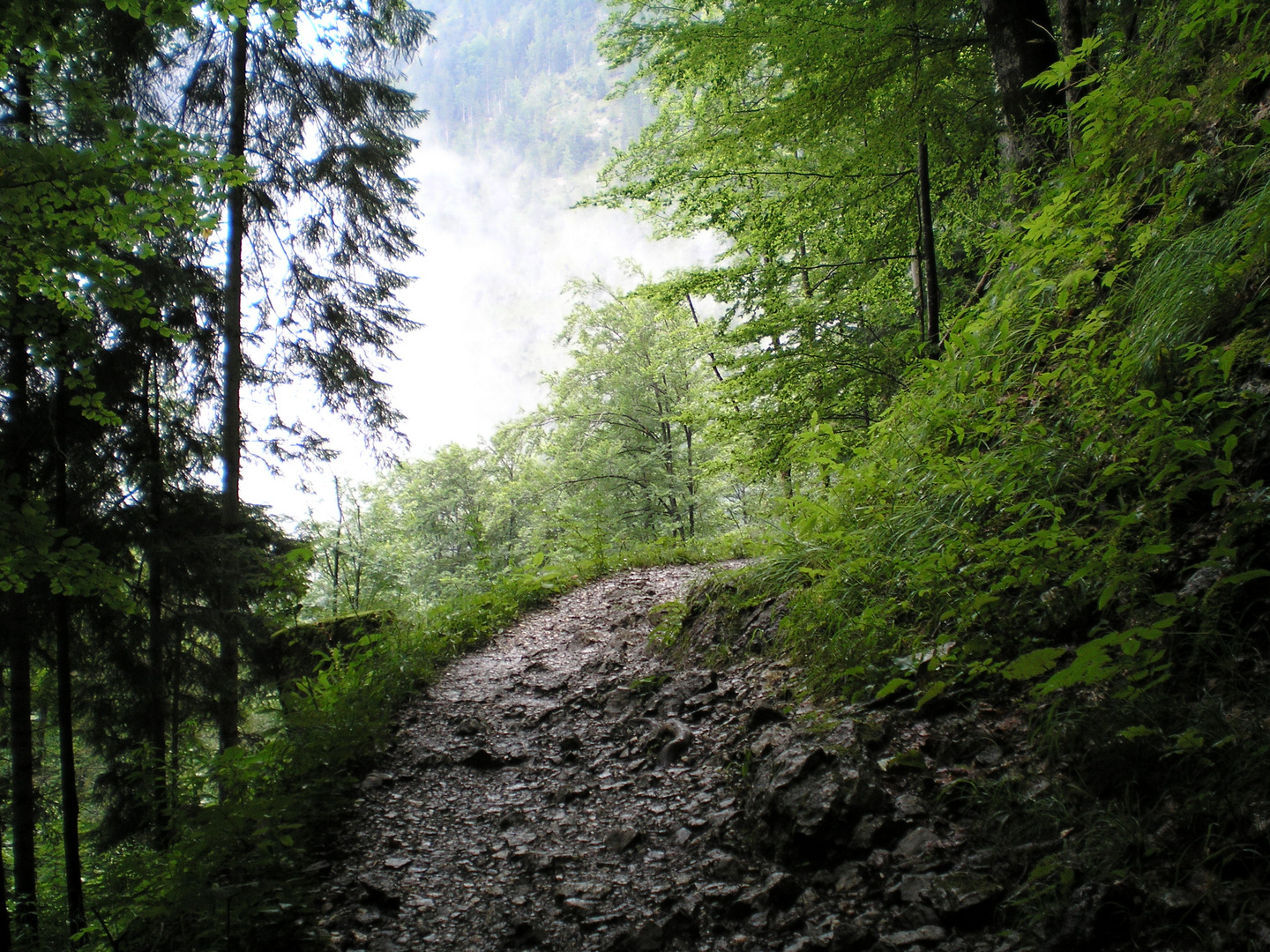 Bergsteig am Waxenstein