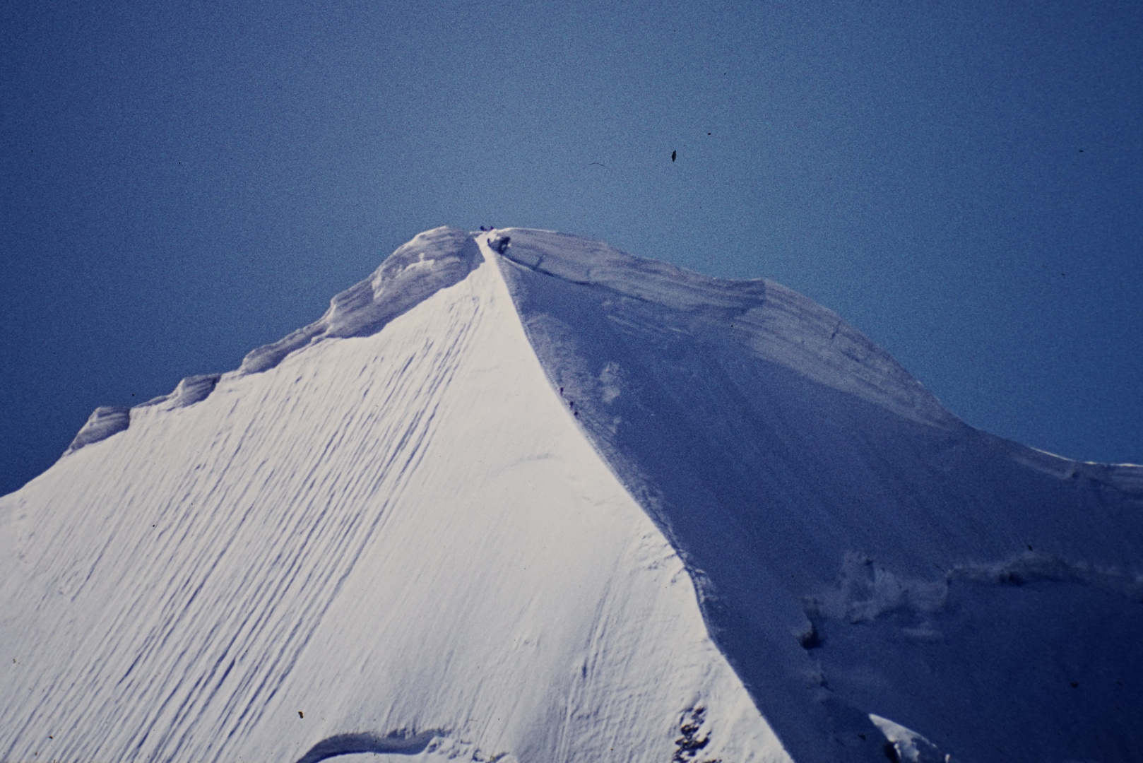 Bergsteiger am Piz Palü 1983