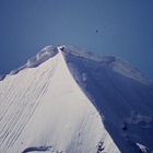 Bergsteiger am Piz Palü 1983