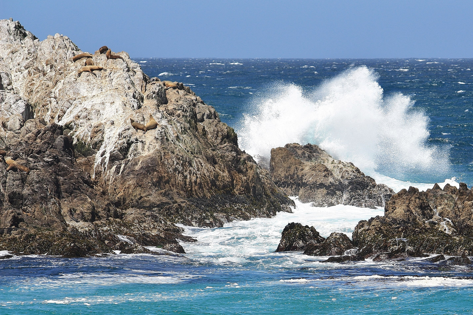 Bergsteiger an der Pacific Coast