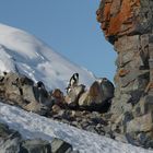 Bergsteiger auf Half Moon Island