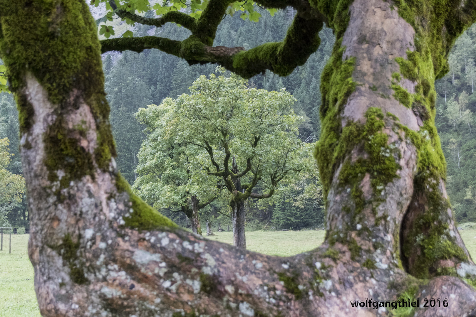 Bergsteiger Fototage 2016 - 3