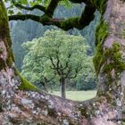 Bergsteiger Fototage 2016 - 3