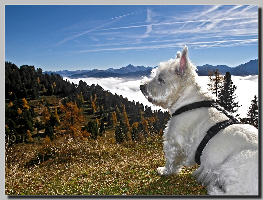 Bergsteiger Timmy-13 Jahre