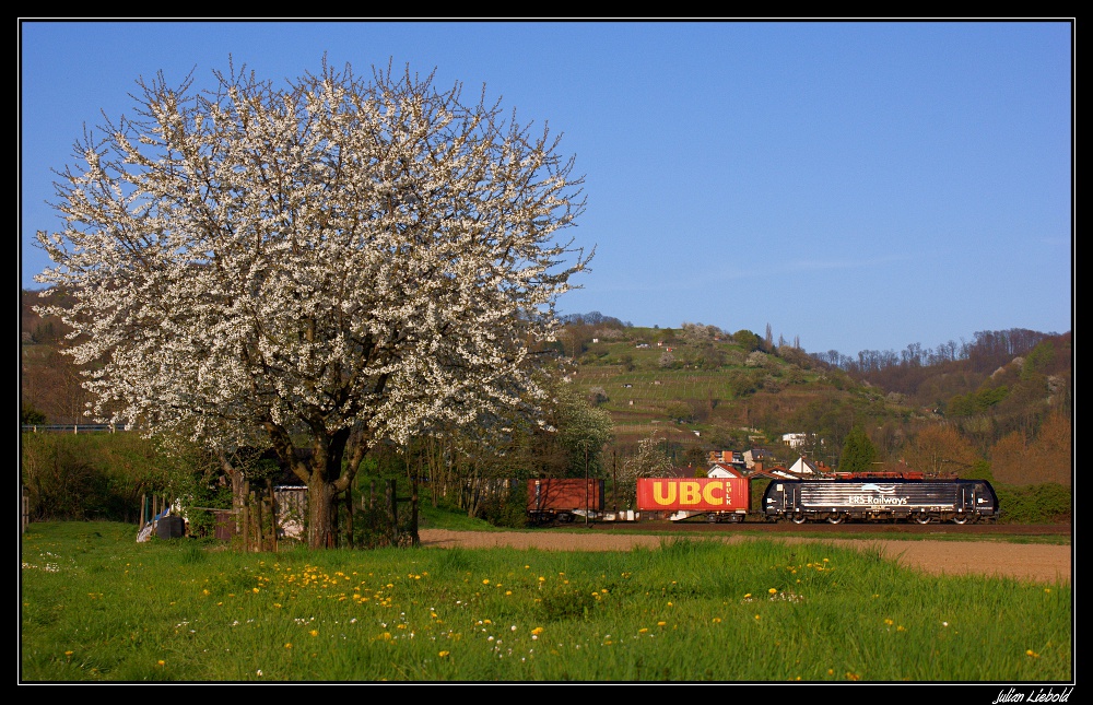 Bergsträßer Frühling