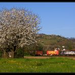 Bergsträßer Frühling