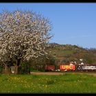 Bergsträßer Frühling