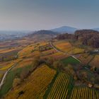 Bergstrasse im Herbst