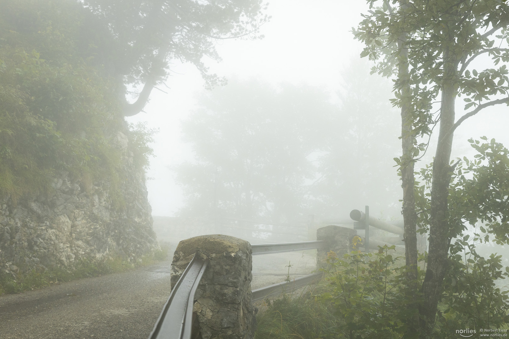 Bergstraße im Nebel