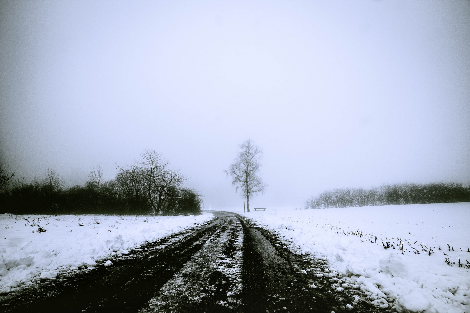 Bergstraße im winterlichen Nebel