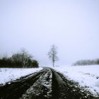 Bergstraße im winterlichen Nebel