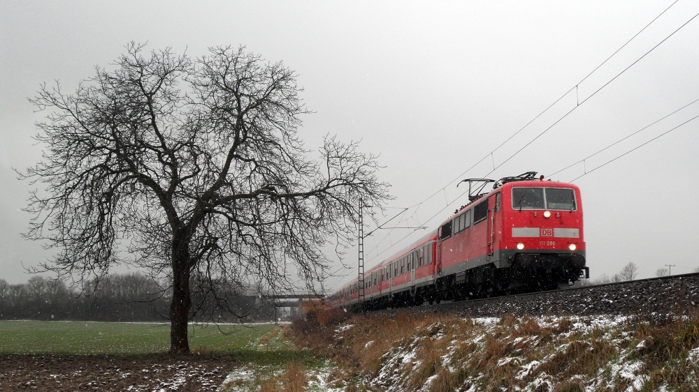 Bergstraßen-Express
