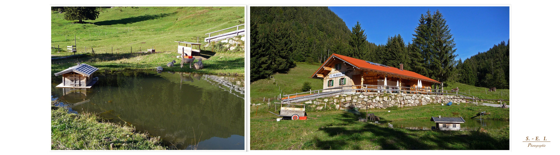 "Bergtour Grünten Alpe-Idylle Serien-Ende"