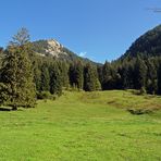 '"Bergtour Grünten mit Blick aufs Ziel Gipfelkreuz Burgberger Hörnle 1496m"