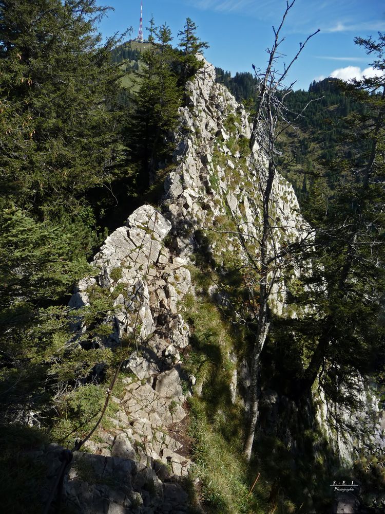 '"Bergtour Grünten mit mit Ziel Rundfunkturm"