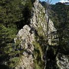 '"Bergtour Grünten mit mit Ziel Rundfunkturm"