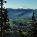 '"Bergtour Grünten mit  Ziel Gipfelkreuz Burgberger Hörnle 1496m"