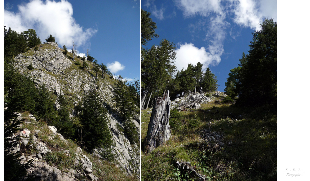 '"Bergtour Grünten mit Ziel Gipfelkreuz Burgberger Hörnle 1496m"