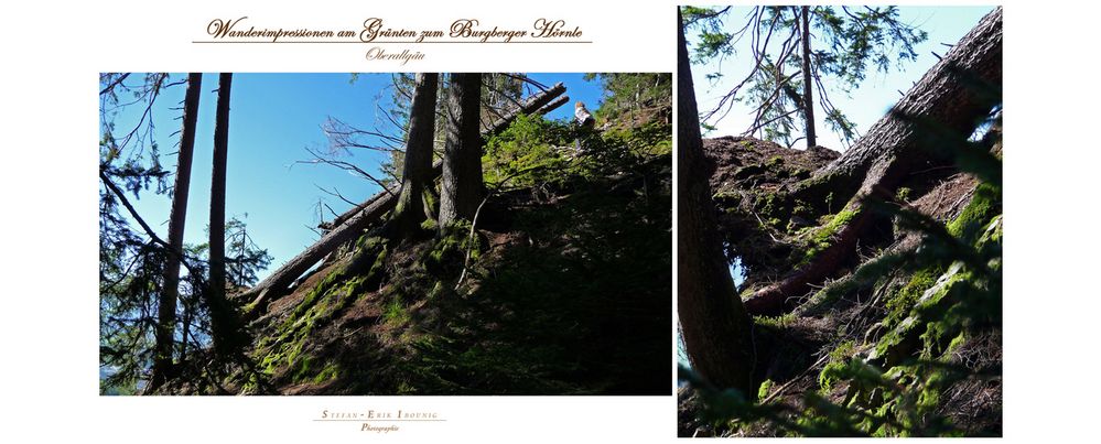 '"Bergtour Grünten mit  Ziel Gipfelkreuz Burgberger Hörnle 1496m"