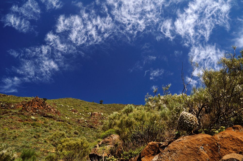 Bergtour Santiago del Teide von Micha R 