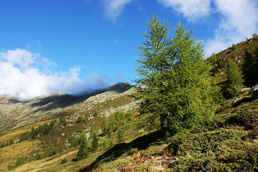 Bergtour Schwemmalm - Weißbrunnsee