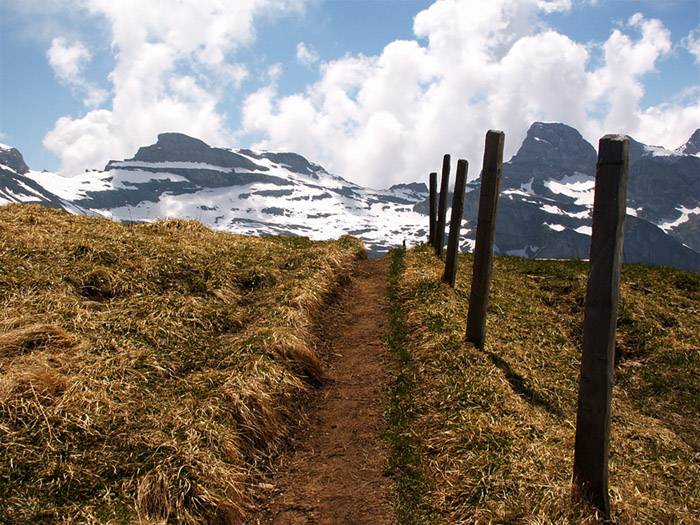 Bergtour zum Chaiserstuel - Zaun auf 2300m