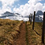 Bergtour zum Chaiserstuel - Zaun auf 2300m