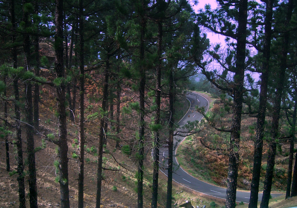 Bergtraße auf La Palma