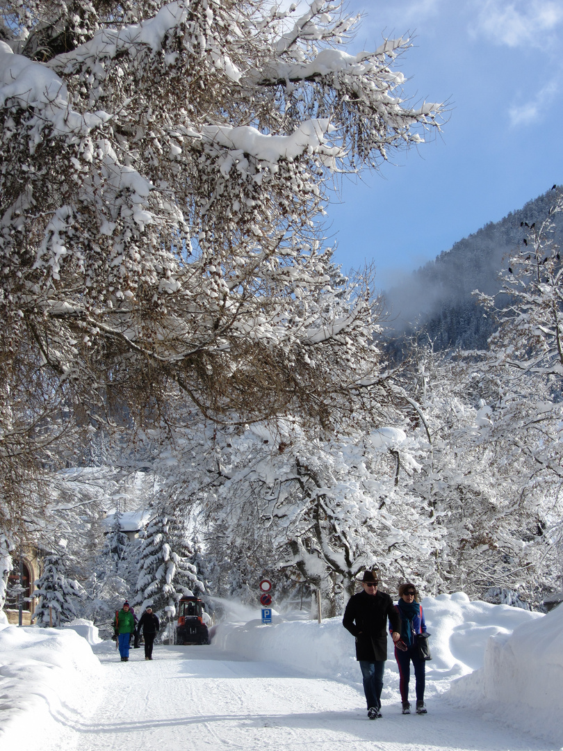 Bergüner Winterspaziergang