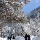 Bergüner Winterspaziergang