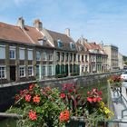 Bergues