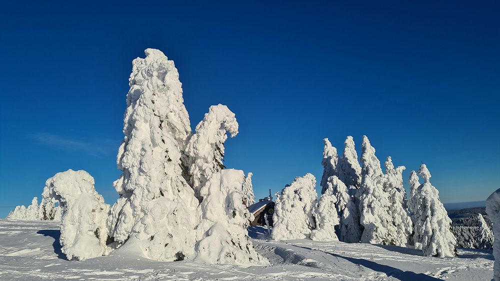 Bergwachthütte