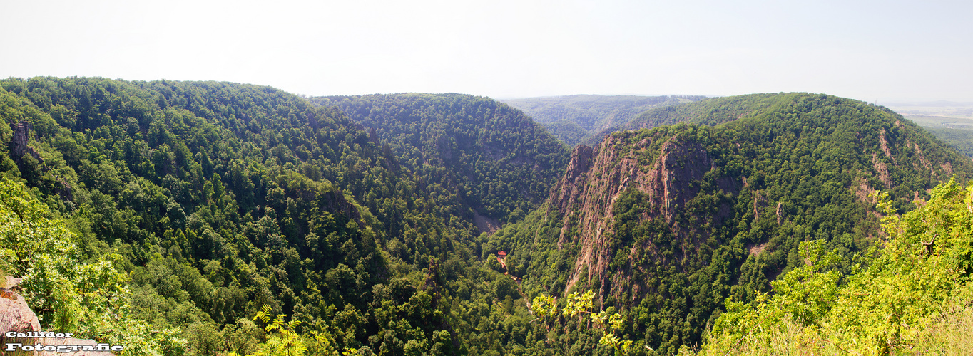 Bergwald