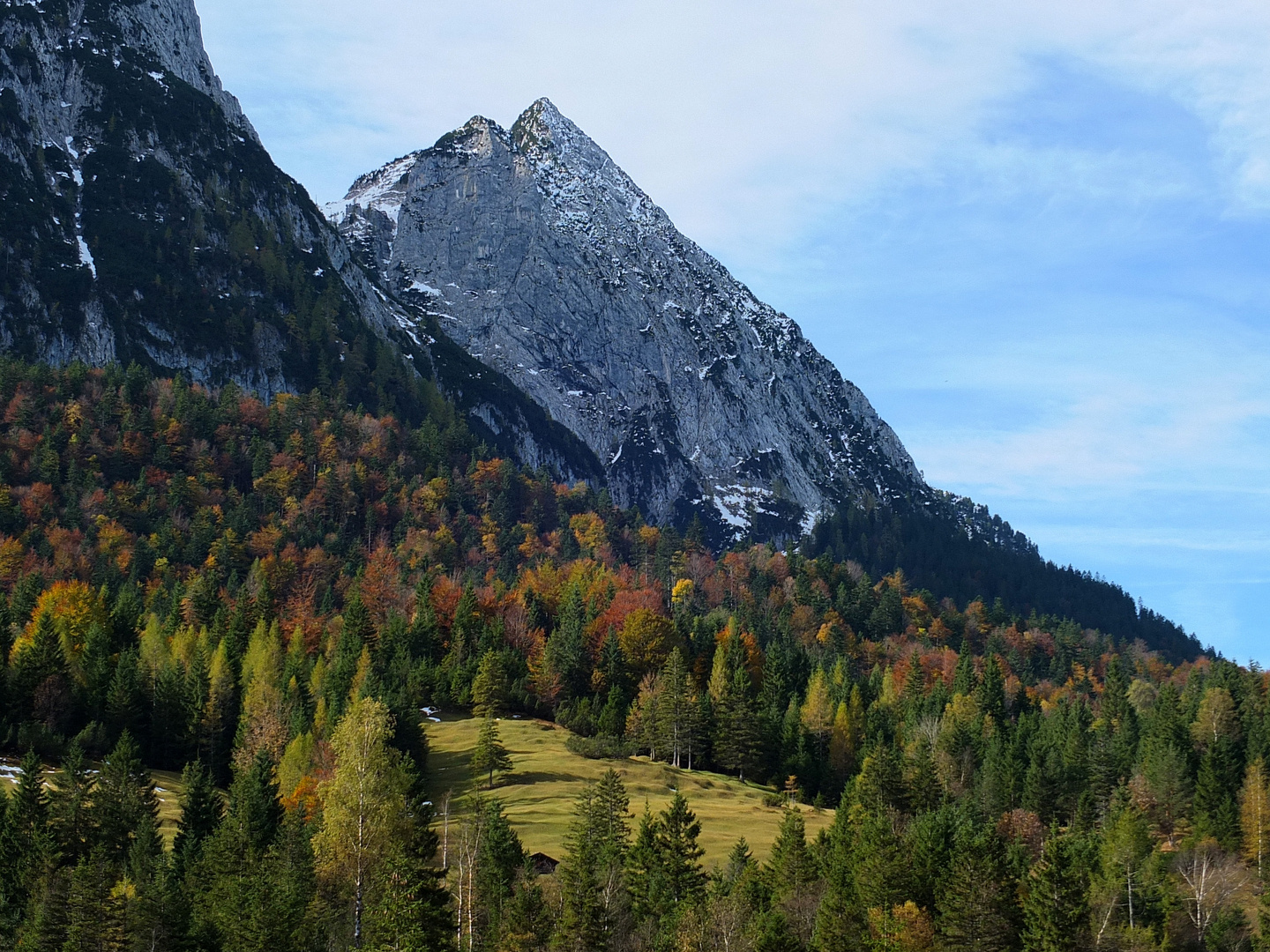 Bergwald im Herbst