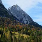 Bergwald im Herbst