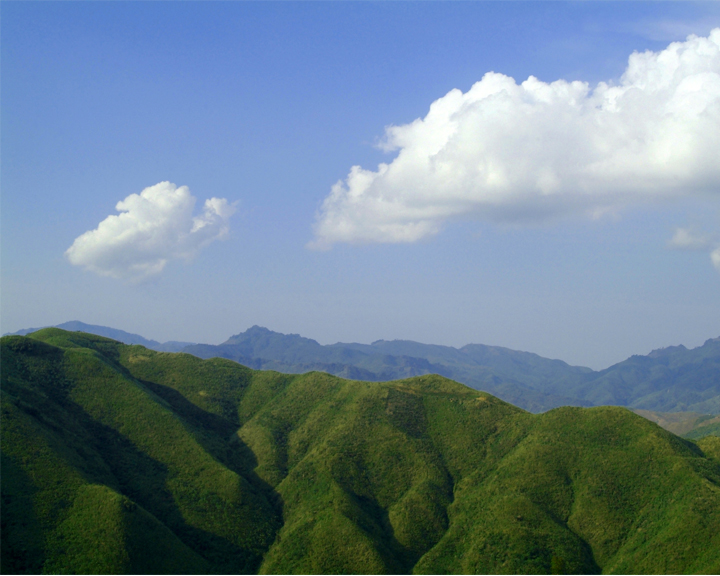 Bergwald im Nagaland