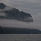 Bergwald im Nebel  DSC_0625