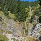 Bergwald oberhalb des Walchensees