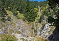 Bergwald oberhalb des Walchensees