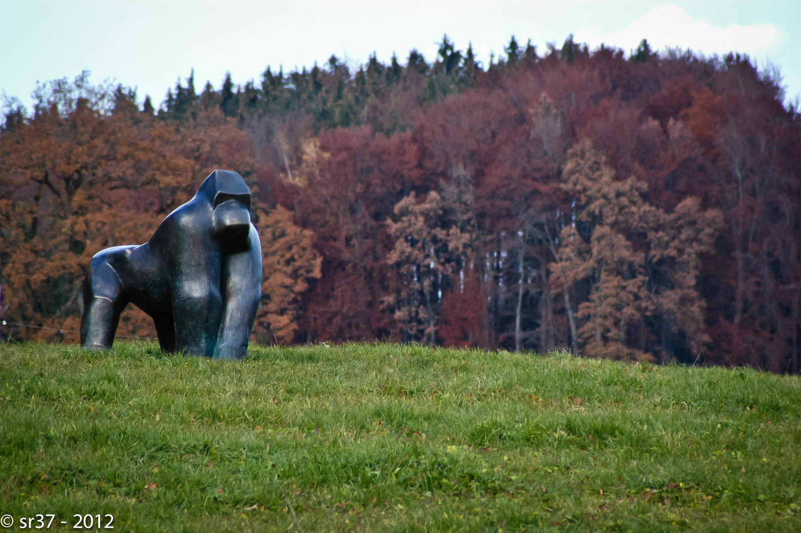 ... Bergwaldgorilla gibt es auch in Oberbayern ...