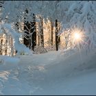 Bergwaldwinter an der Lausche