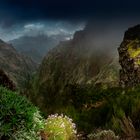 Bergwandern auf Madeira....